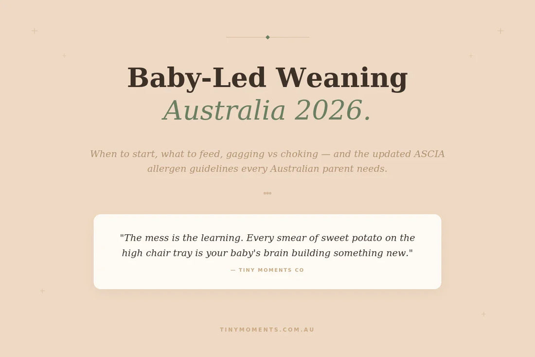 Baby-Led Weaning Australia 2026: Complete Beginner's Guide