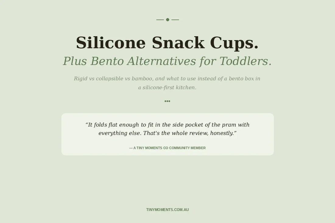 Silicone & Collapsible Snack Cups Guide: Plus Bento Lunch Containers for Toddlers